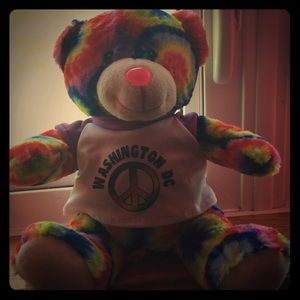 Washington DC rainbow teddy bear